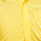 Basic Yellow
