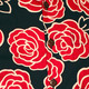 Shortsl. Outlined Roses navy-pink