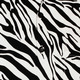 Shortsl.  Zebra white, black