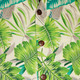 Shortsl.  Jungle-Leaves creme, green