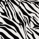 Shortsl. Zebra white, black