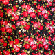 Shortsl. Roses black , red