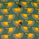 Shortsl. Graphical Bird green , yellow