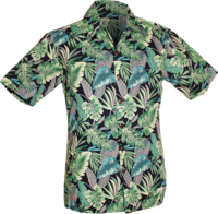 Shortsl.  Jungle-Leaves navy, green
