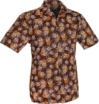 Shortsl. Plants brown , creme, mustard