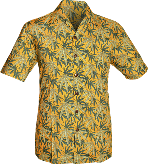 Shortsl. Weed mustard, green