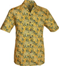 Shortsl. Weed mustard, green
