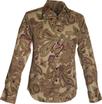 Paisley grey, violet, green