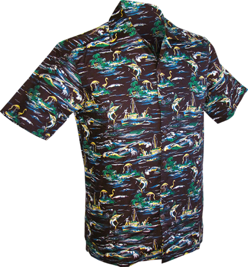 Shortsl. Fish and Ships brown , creme , blue