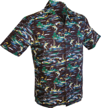 Shortsl. Fish and Ships brown , creme , blue